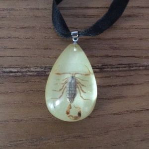 Real Scorpion Charm Choker